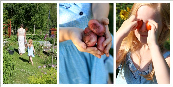 Warm-potato-salad-with-fresh-dill-the-garden