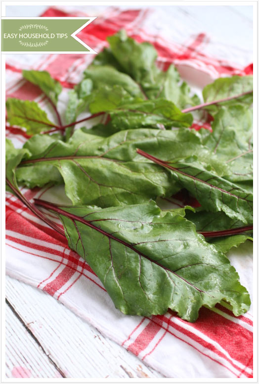 How To Keep Greens Fresh For A Long Time