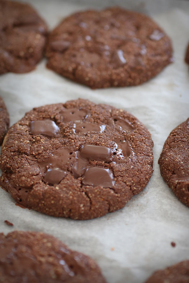 Gluten-Free-Chocolate-Chip-Cookies5