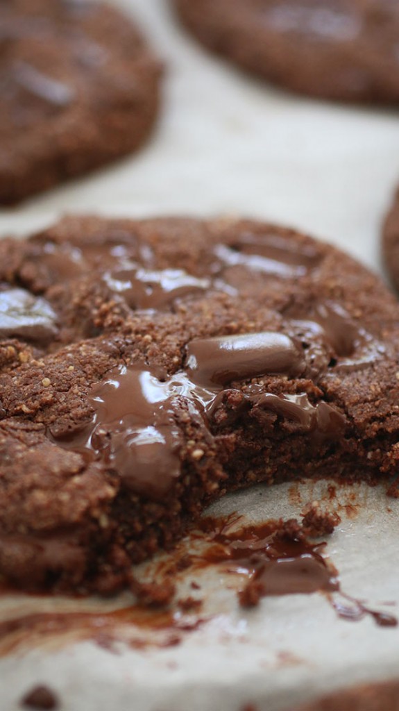 Gluten-Free-Chocolate-Chip-Cookies6'