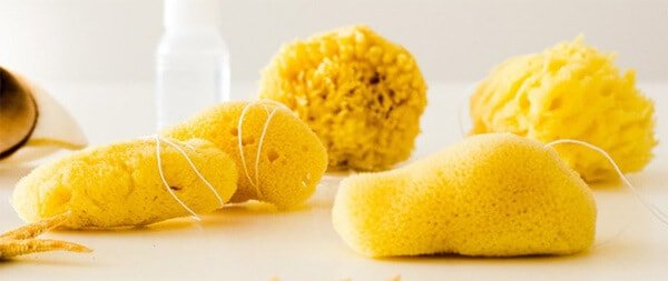 Jade Pearl Sea Sponge Tampons